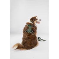 Flamingo Leash Cami Green