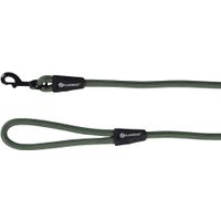 Flamingo Leash Cami Green