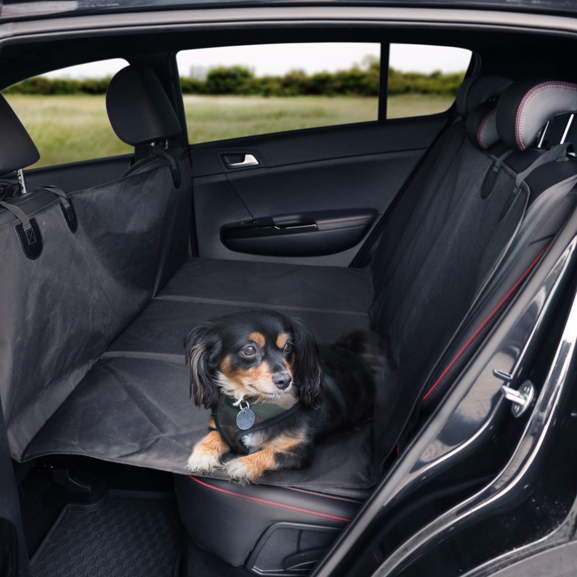 Flamingo Car seat cover Kenai Back seat Black