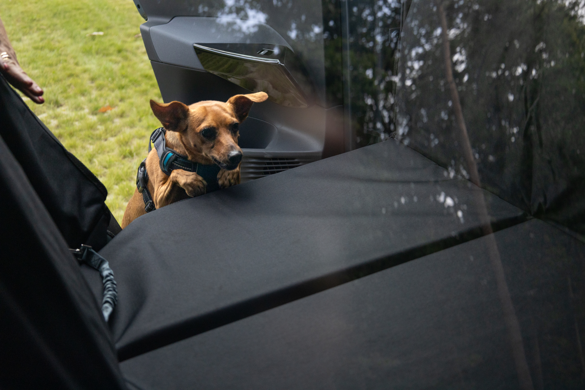 Flamingo Car seat cover Kenai Back seat Black