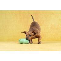 Flamingo Jouet Eyo Cochon Plusieurs couleurs