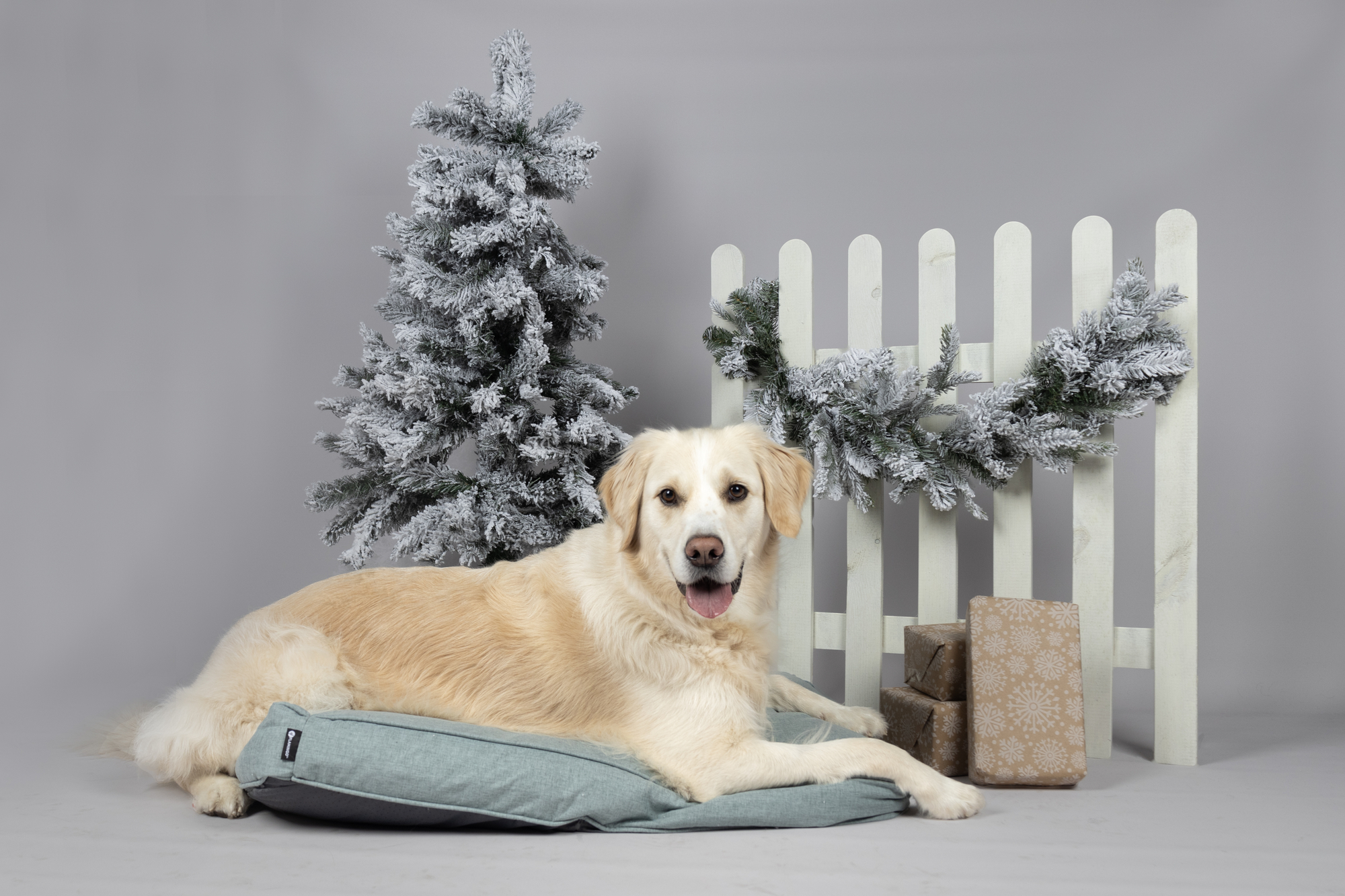 Flamingo Kissen Geneve Rechteck Hellgrün