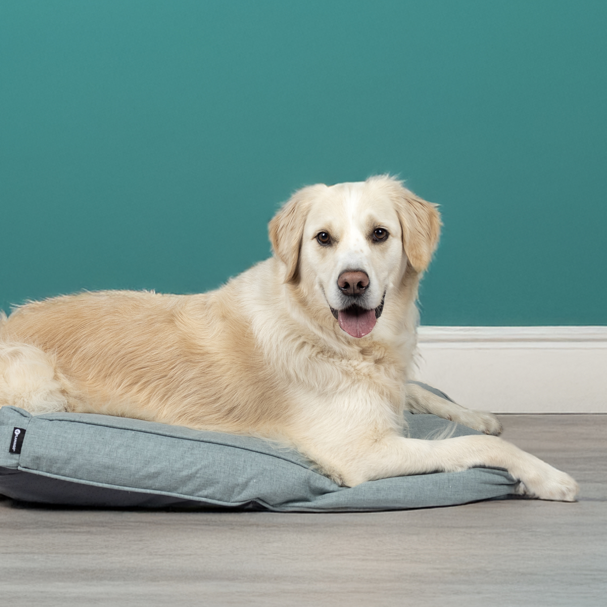 Flamingo Kissen Geneve Rechteck Hellgrün