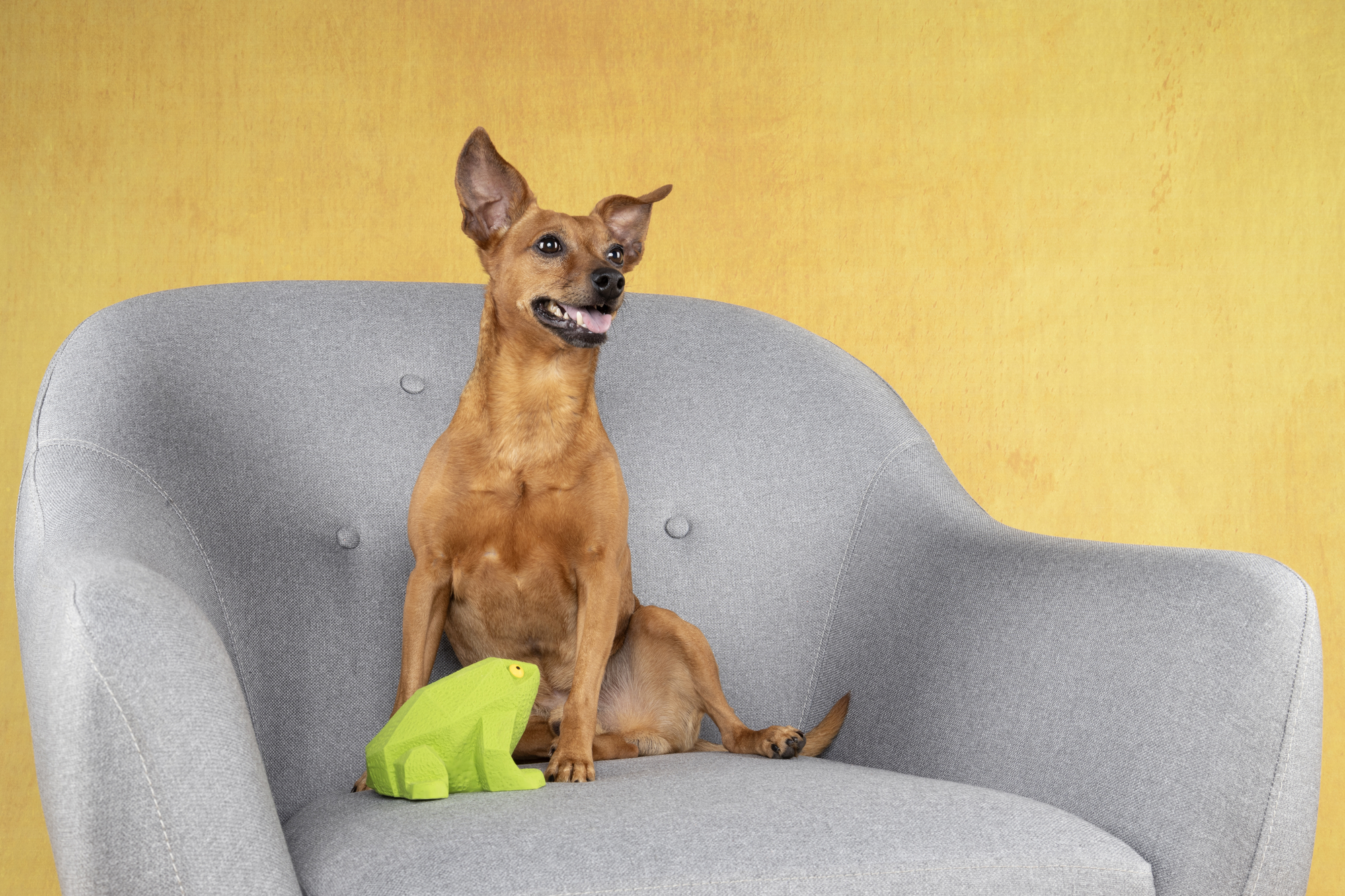 Flamingo Jouet Kremi Grenouille Vert