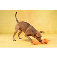 Flamingo Toy Honna Dog Orange