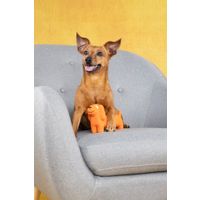 Flamingo Toy Honna Dog Orange