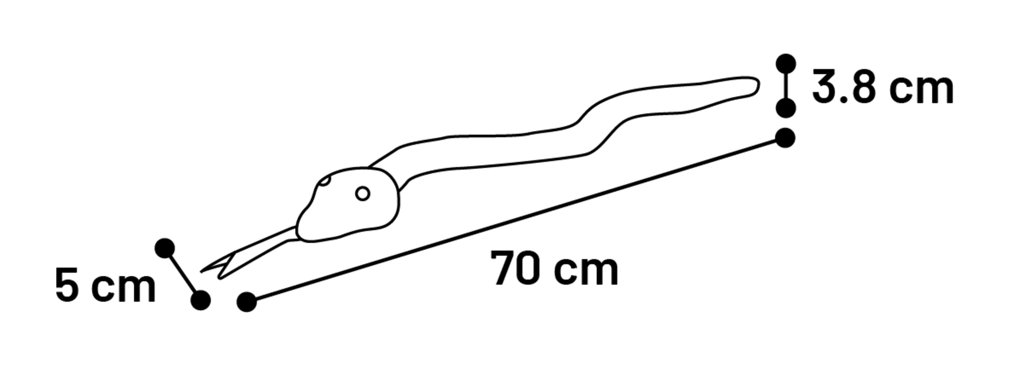 Flamingo Toy Flocco Snake & Cord Woven Khaki