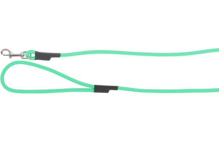 Flamingo Guinzaglio educativo y lunghina Caspar Verde menta