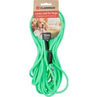 Flamingo Guinzaglio educativo y lunghina Caspar Verde menta