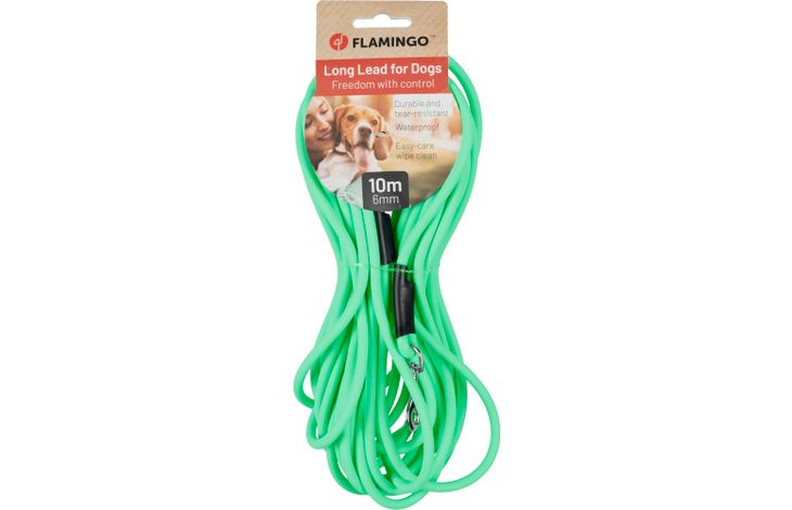 Flamingo Guinzaglio educativo y lunghina Caspar Verde menta