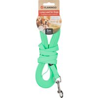 Flamingo Guinzaglio educativo y lunghina Caspar Verde menta