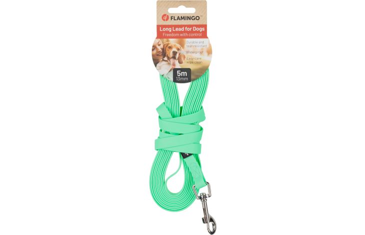 Flamingo Guinzaglio educativo y lunghina Caspar Verde menta