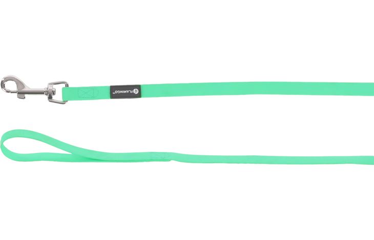 Flamingo Guinzaglio educativo y lunghina Caspar Verde menta