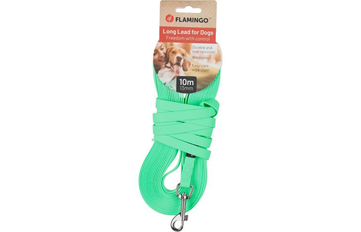 Flamingo Guinzaglio educativo y lunghina Caspar Verde menta