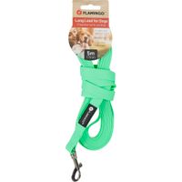 Flamingo Guinzaglio educativo y lunghina Caspar Verde menta