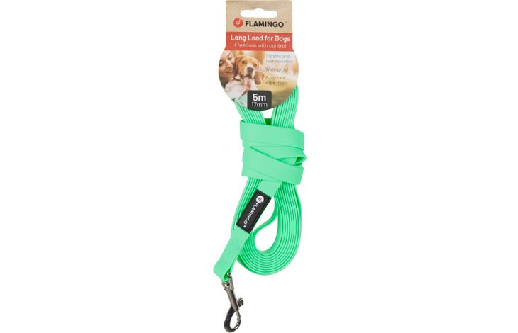 Flamingo Guinzaglio educativo y lunghina Caspar Verde menta