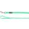 Training and tracking leash Caspar Mint green