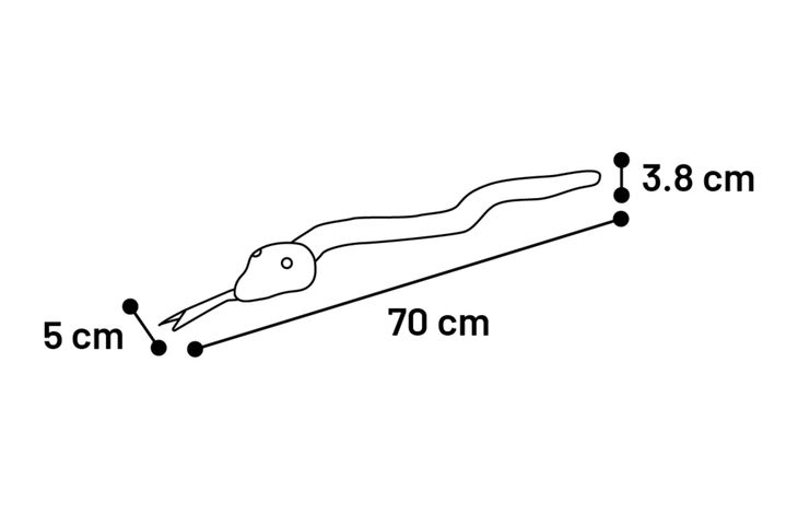 Flamingo Giocattolo Flocco Serpente & Cordone Intrecciato Rosso