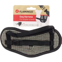 Flamingo Harnas Eeny Meeny Blauw & Bruin