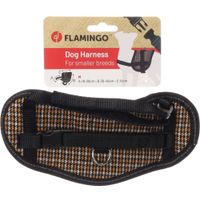 Flamingo Harnas Eeny Meeny Geel & Zwart
