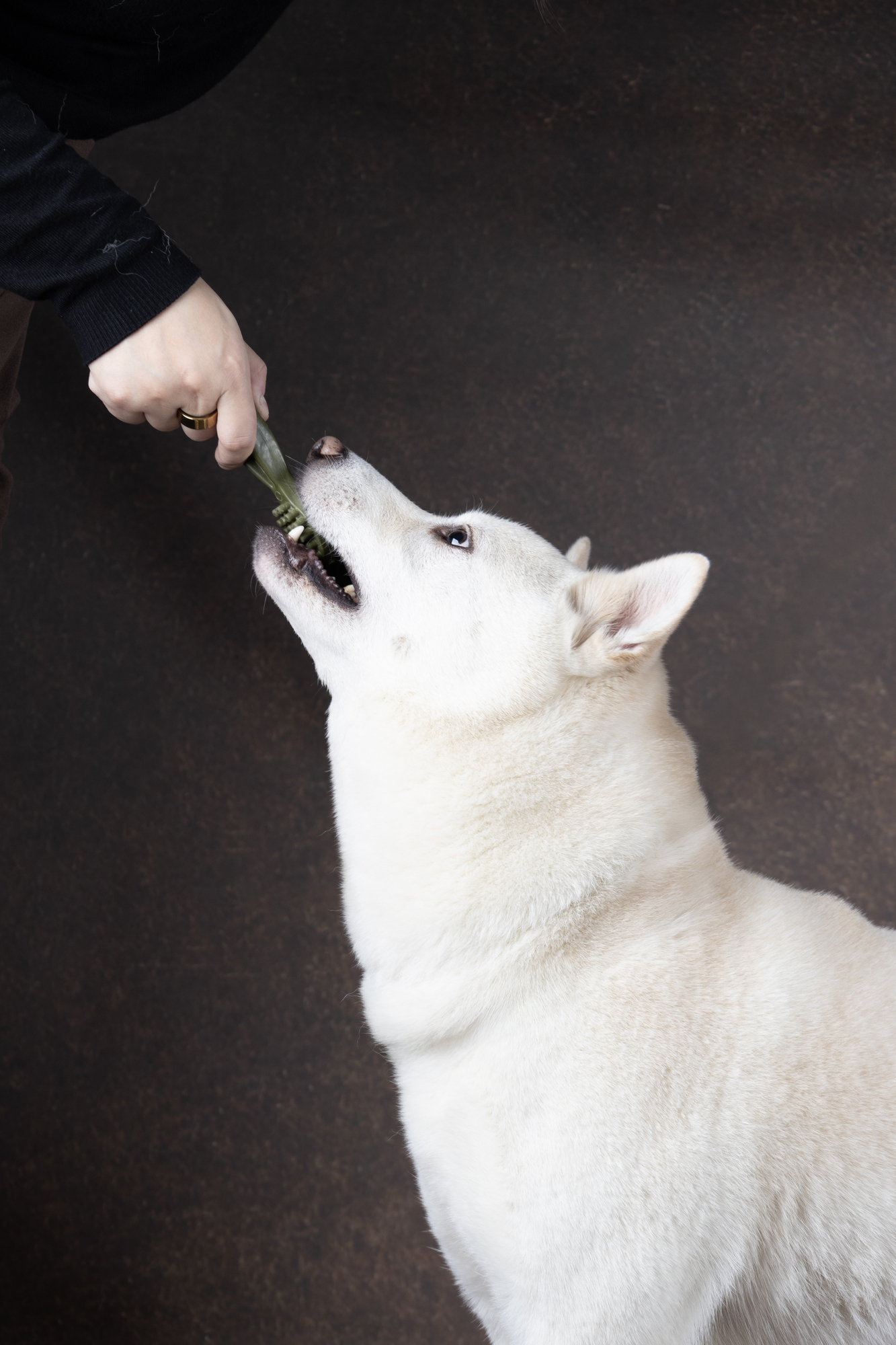 Flamingo Snacks Veggie Toothbrush with apple Green
