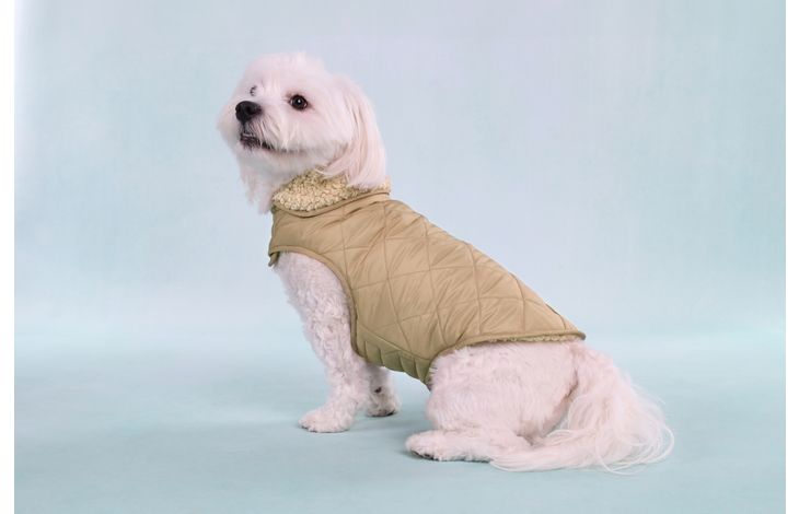 Flamingo Jas Bonnie Beige