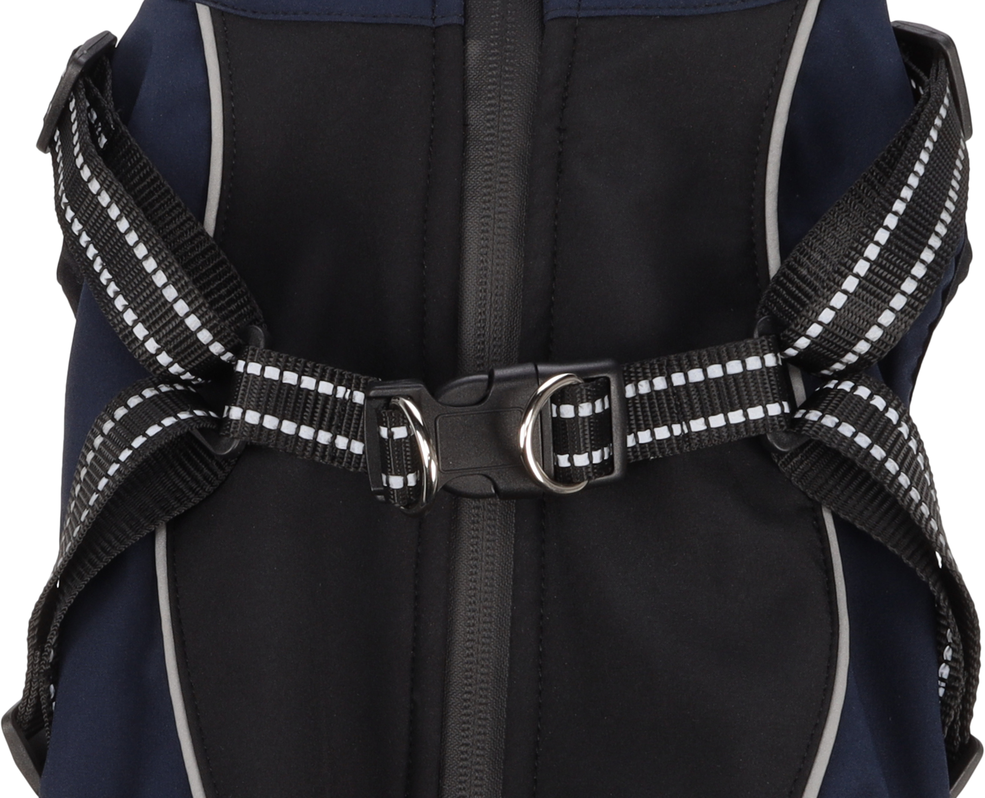 Flamingo Coat Dexter Dark blue & Black