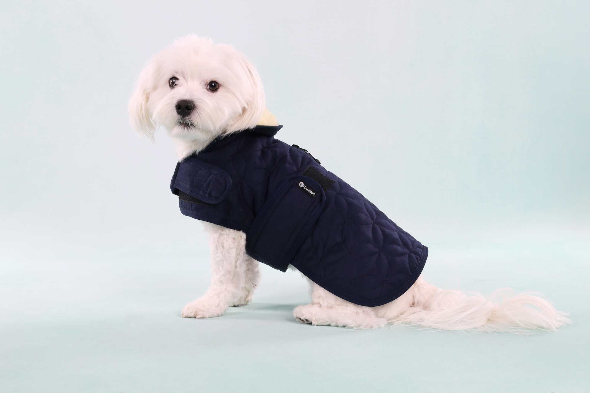 Flamingo Winter coat Koda Dark blue