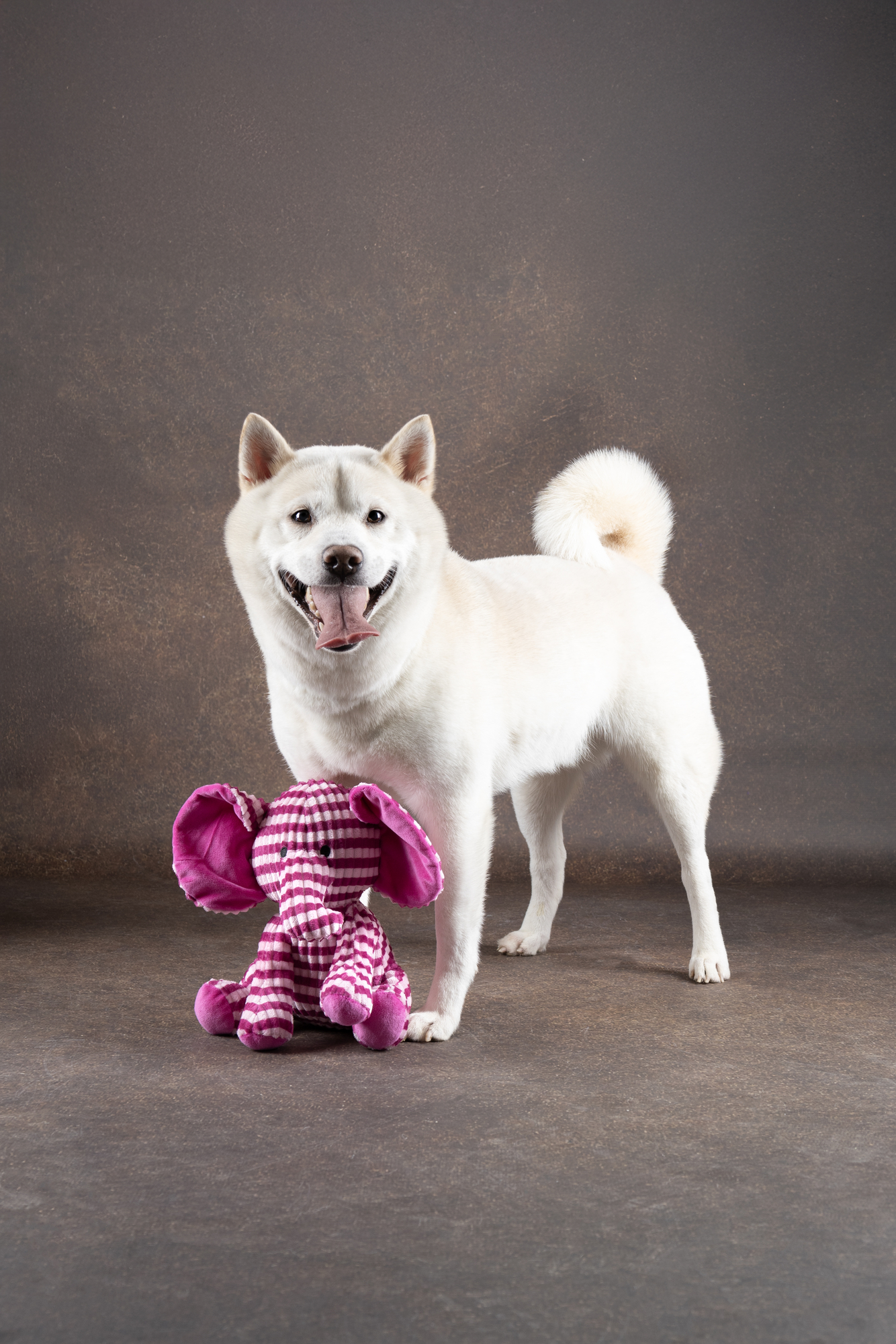 Flamingo Toy Azor Elephant Pink