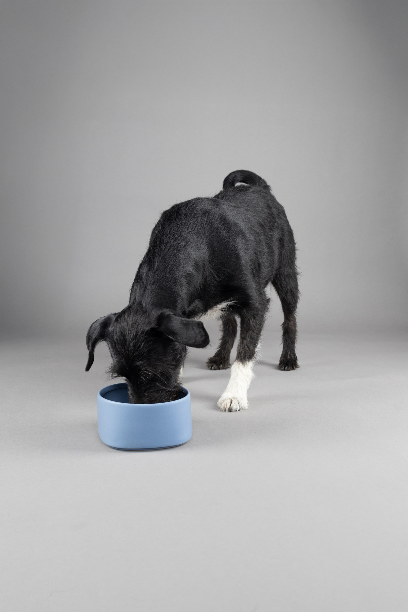 Flamingo Feeding and drinking bowl Zara Round Blue