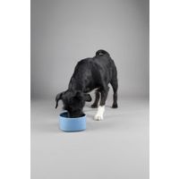 Flamingo Feeding and drinking bowl Zara Round Blue