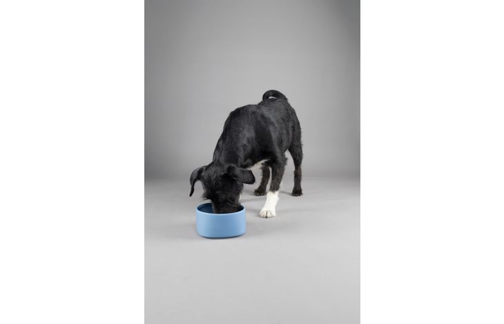 Flamingo Feeding and drinking bowl Zara Round Blue