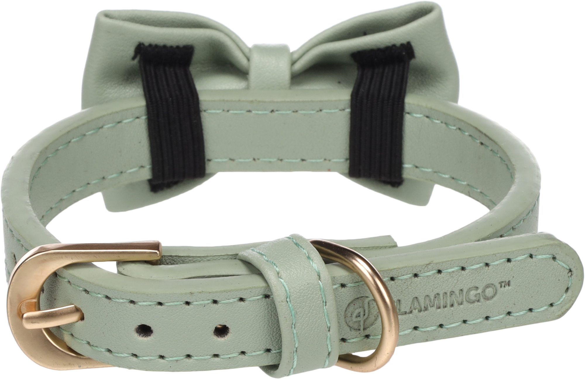 mint green dog collar