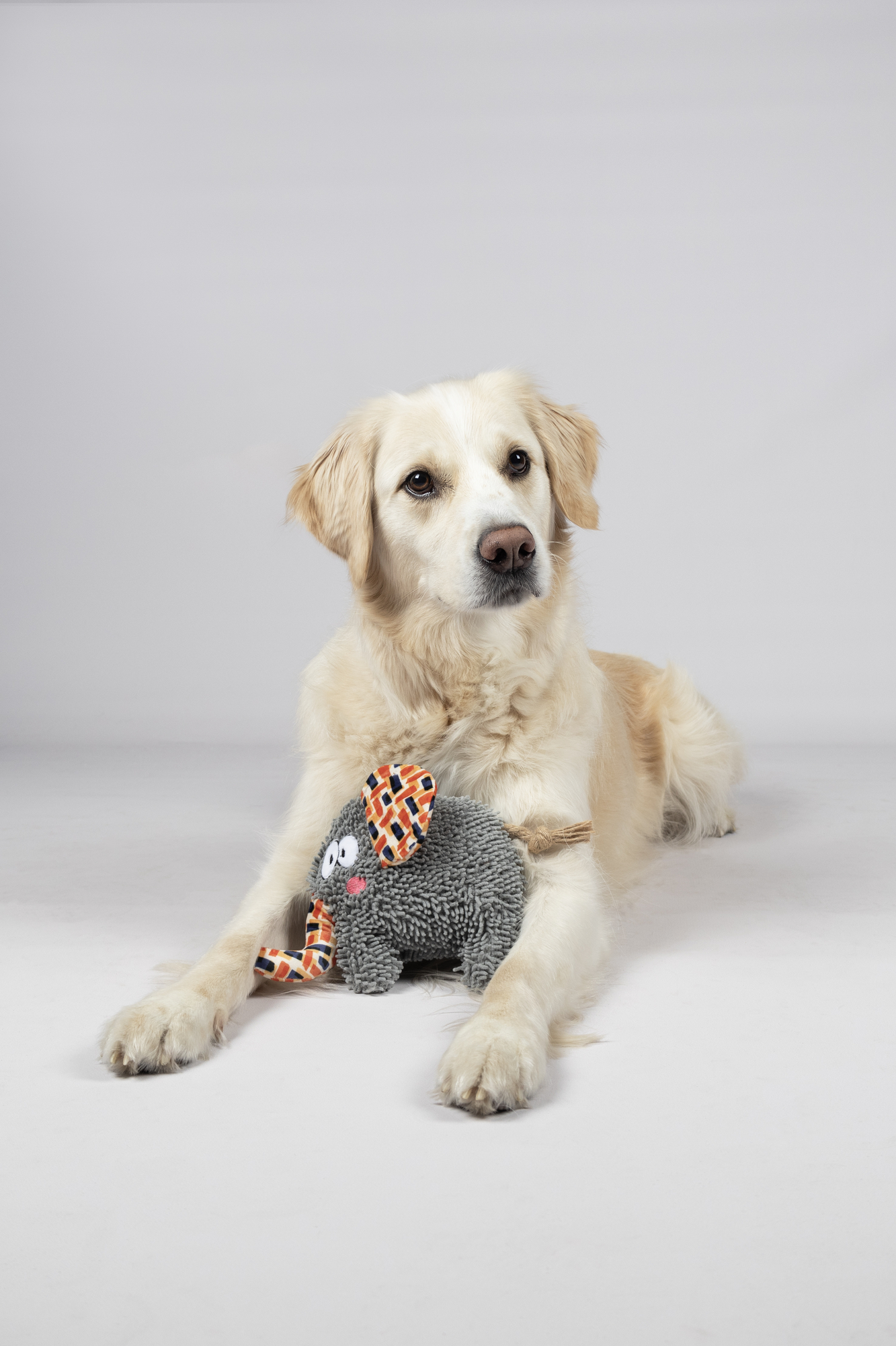 Flamingo Spielzeug Saffia Elefant mit Seil Grau