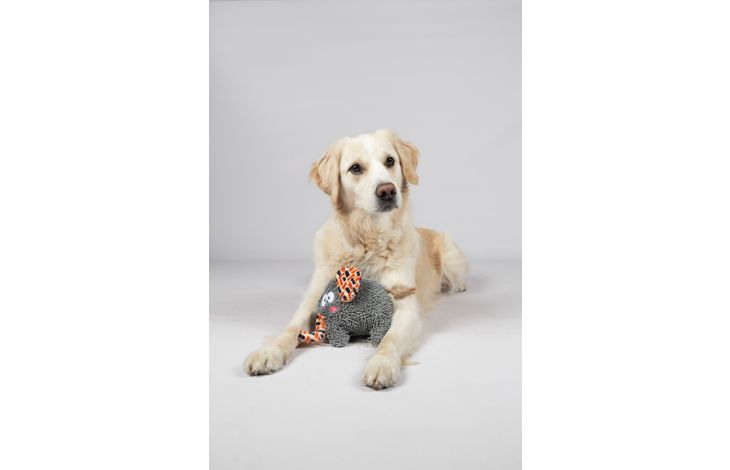 Flamingo Spielzeug Saffia Elefant mit Seil Grau