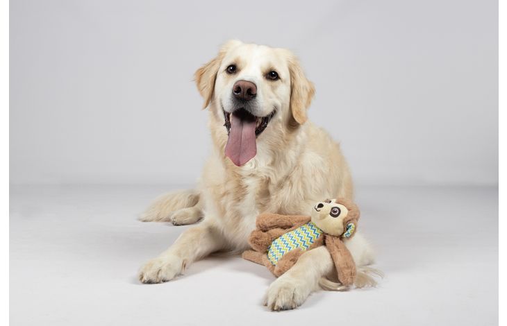 Flamingo Toy Drala Monkey Brown