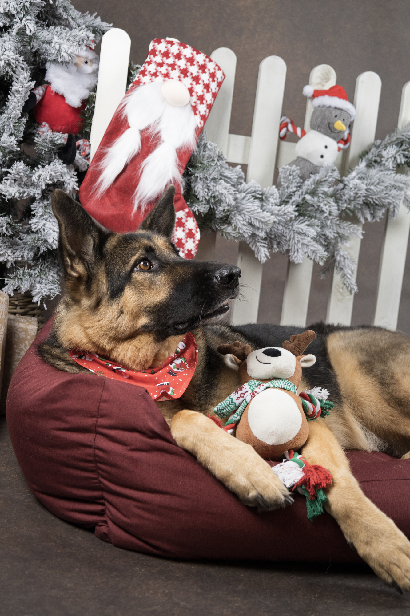 Flamingo Christmas Toy Vicente Reindeer Brown 