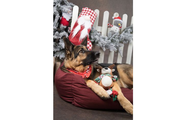 Flamingo Christmas Toy Vicente Reindeer Brown 