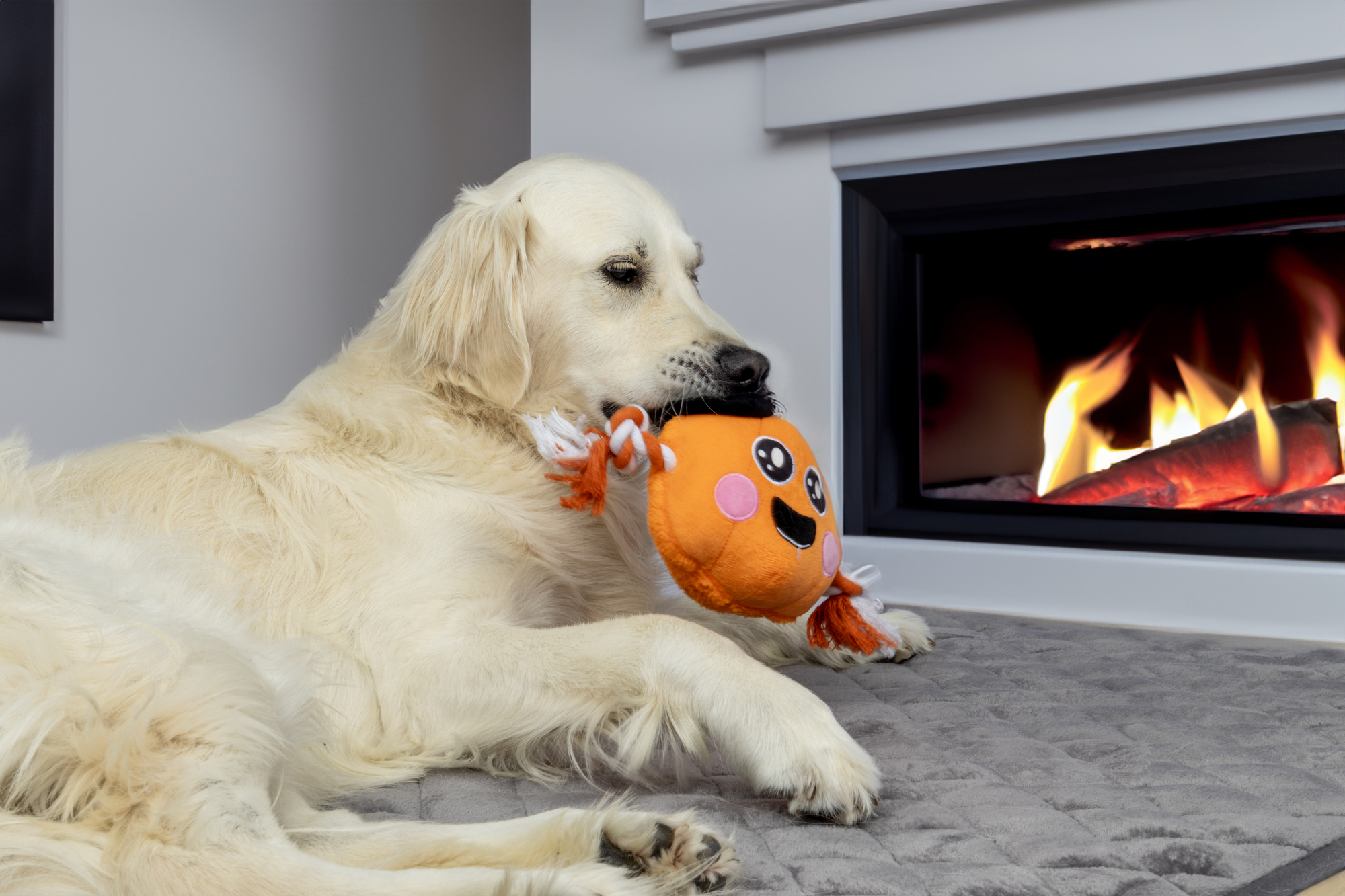 Flamingo Halloween Toy Thatcher Pumpkin Orange 