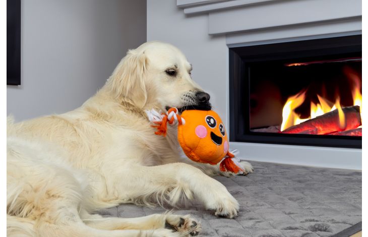 Flamingo Halloween Speelgoed Thatcher Pompoen Oranje