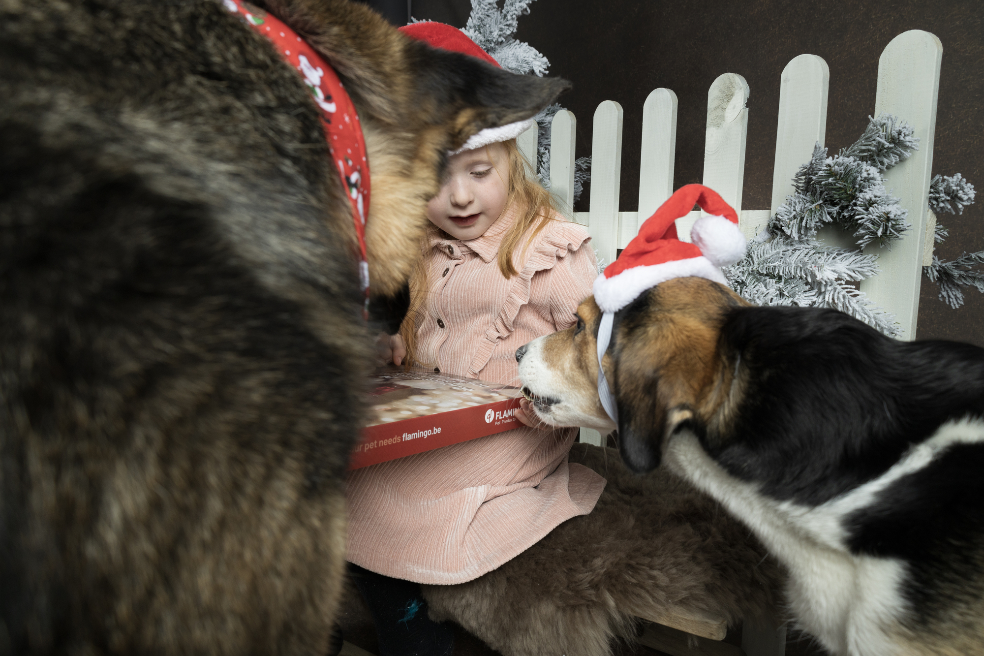Flamingo Christmas Calendar Nature snack   