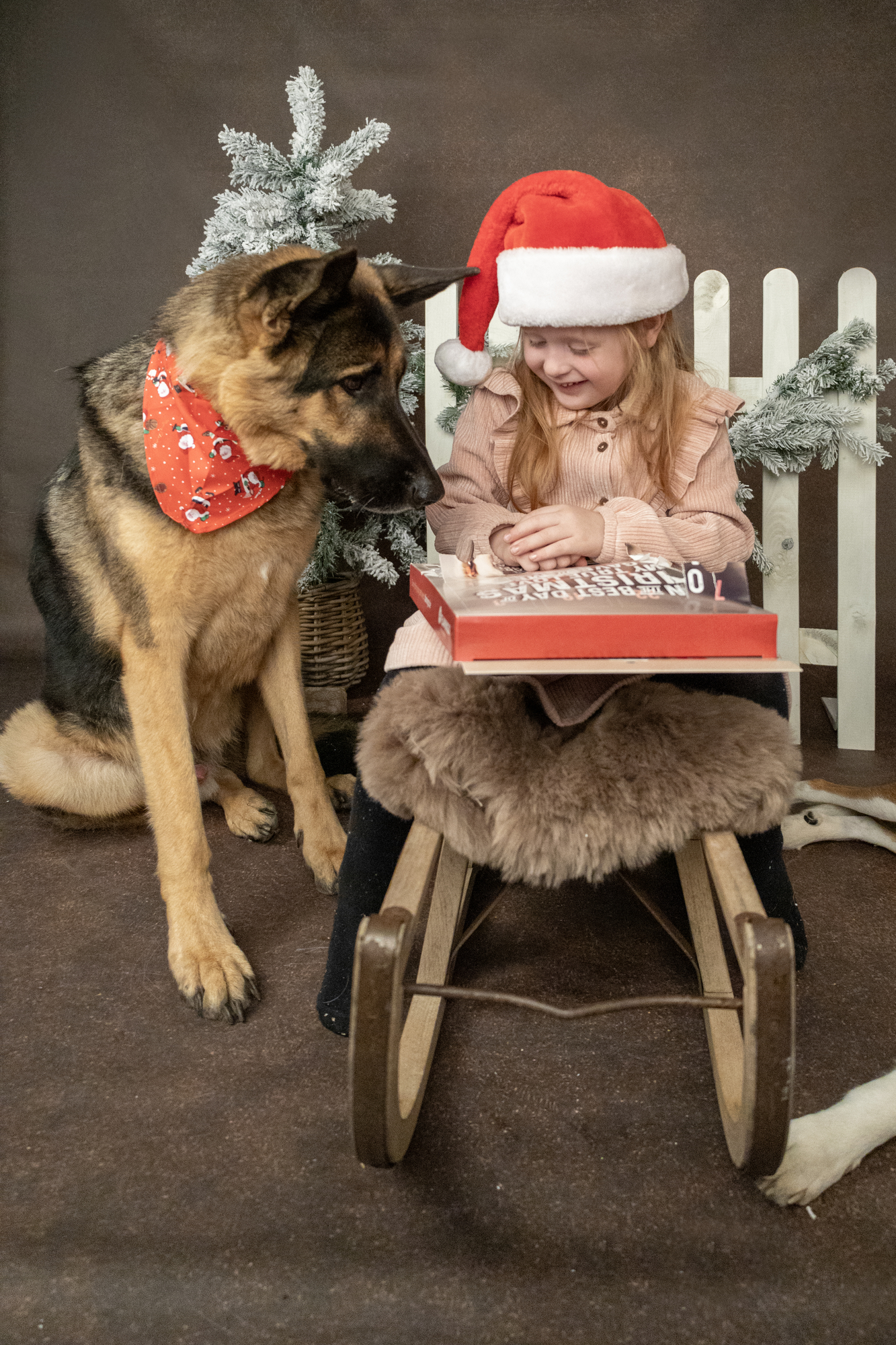 Flamingo Christmas Calendar Nature snack   