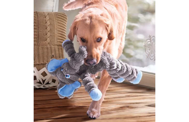Kong® Kong® Speelgoed Shakers Olifant Grijs
