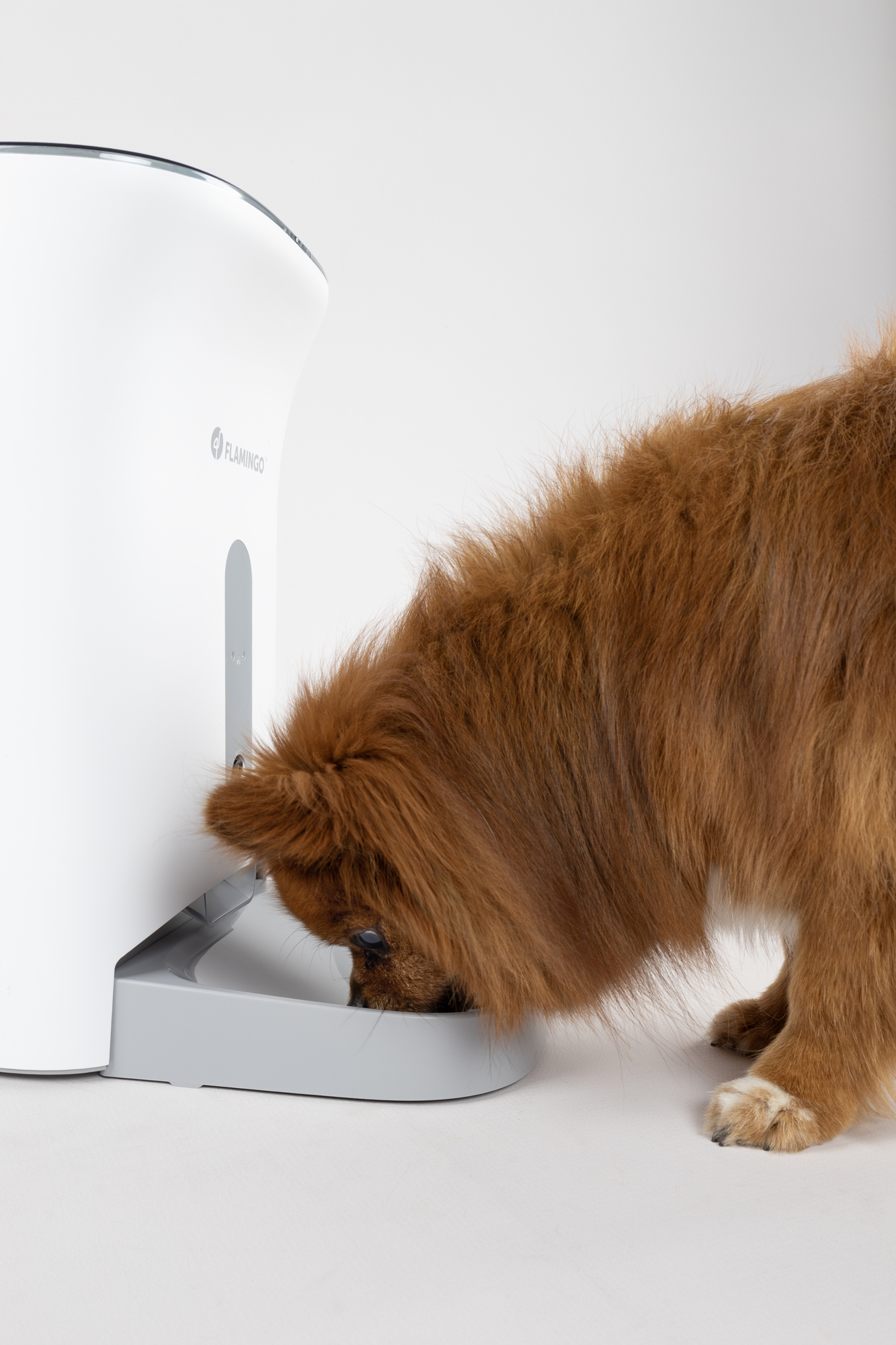 Flamingo Voederautomaat Omega Wit