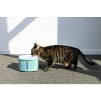 Flamingo Drinking fountain Finto Green