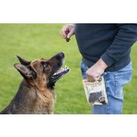 Flamingo Snacks Hapki Pure Chips with yak 