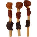 Snack BBQ Saté met kip & met eend 