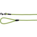 Leash Eros Green