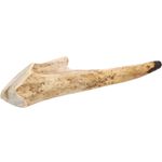 Friandises Nature Bois de cerf Dur