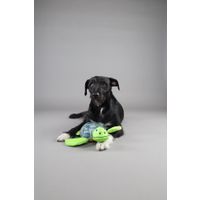 Flamingo Toy Siwi Turtle Green